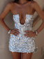 LAVIA MINI DRESS SILVER Mini Dress 
